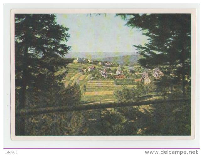 Finsterbergen-Blick Vom Hainfelsen Zum Kurhaus Und Ort - Georgenthal