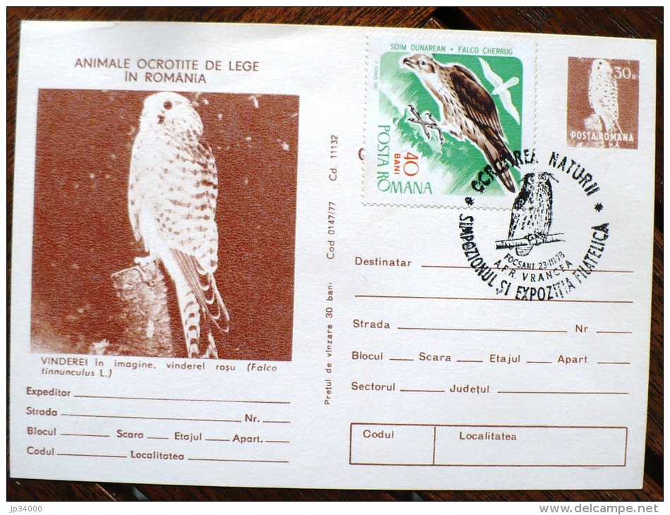 ROUMANIE Oiseaux, Rapaces, Birds, Vögel, Chouettes Et Hiboux, Carte Postale Emise En 1977 Ayant Voyagée - Hiboux & Chouettes