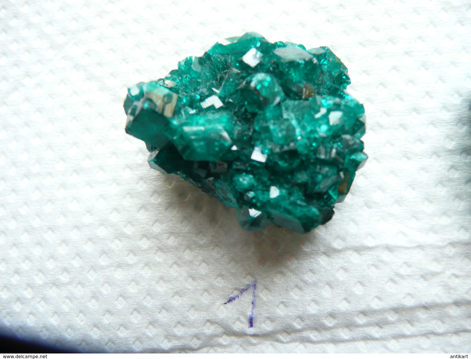 Dioptase - Lot Au Choix - Minerali