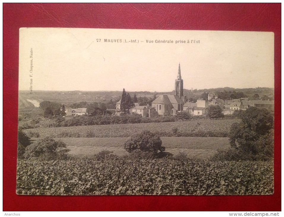 44 Loire Atlantique MAUVES Vue Générale Prise à L'Est - Mauves-sur-Loire