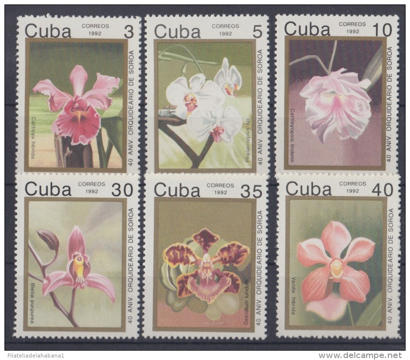 1992.32 CUBA MNH. 1992.  40 ANIV. ORQUIDEARIO DE SOROA  Orchid ANNIVERSARY COMPLETE SET - Neufs