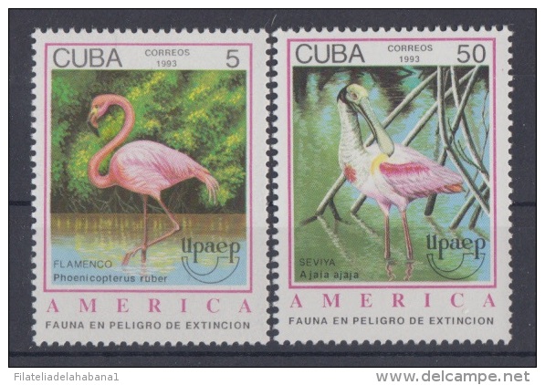 1993.30 CUBA MNH. 1993. UPAEP. FAUNA EN PELIGRO DE EXTINCION. BIRD. AVES. PAJAROS. WILDLIFE  COMPLETE SET - Unused Stamps