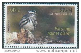 Saint Pierre Miquelon 2010 - Paruline Noir Et Blanc / Black And White Warbler - MNH - Passereaux