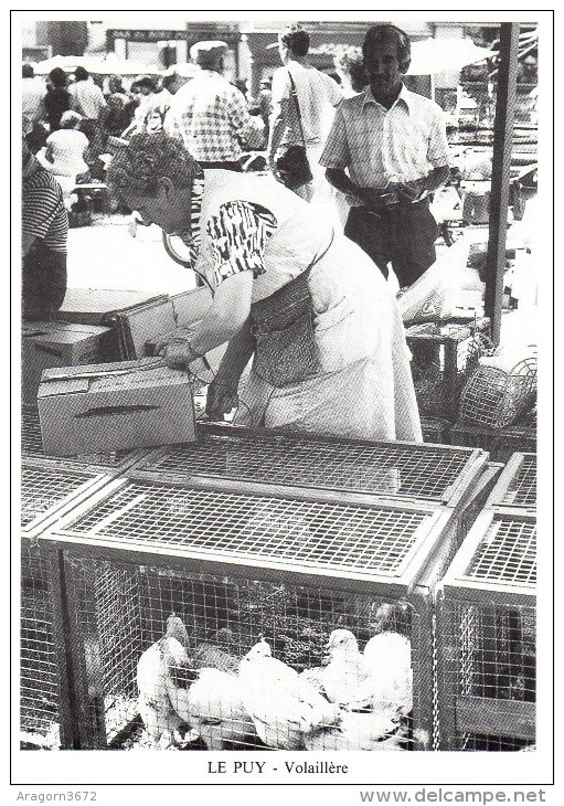 LE PUY 43, 08/1986 Place Du Plot, Vente De Volailles Vivantes - 250ex - Marchands