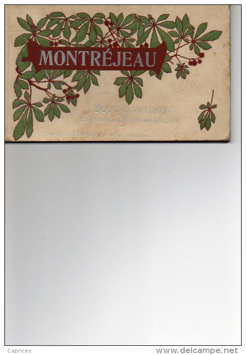 MONTREJEAU   Carnet De Cartes Postales - Montréjeau