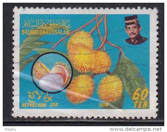 Brunei Used 1994, Fruits Series, Fruit Plant.  As Scan - Brunei (1984-...)