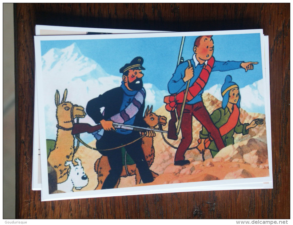 TINTIN Reproduction  CARTE POSTALE  TINTIN HADDOCK AVEC DES LAMAS  HERGE - Tintin