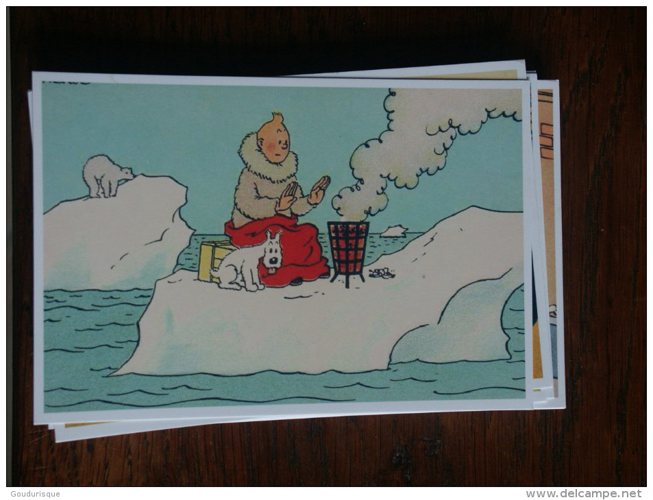 TINTIN Reproduction  CARTE POSTALE TINTIN SE CHAUFFE SUR LA BANQUISE  HERGE - Tintin