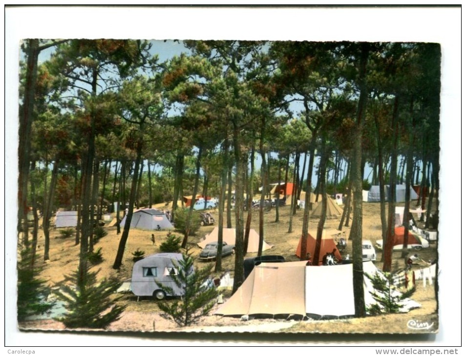 CP - ILE DE NOIRMOUTIER (85) - Ile De Noirmoutier