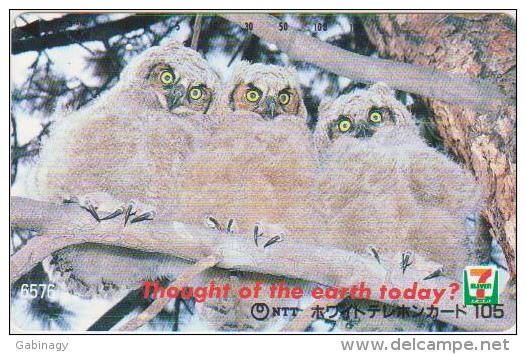 BIRDS - JAPAN - H1723 - OWL - 110-011 - Gufi E Civette