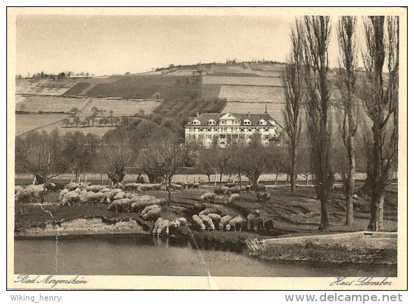 Bad Mergentheim - S/w Haus Schwaben - Bad Mergentheim