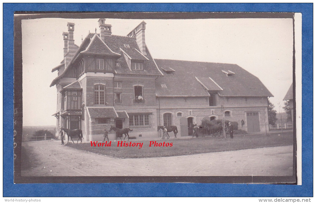 Photo Ancienne - à Identifier - Haras ? - On Sort Les Chevaux Des écuries - Cheval Horse - Calvados Normandie Deauville - Anciennes (Av. 1900)