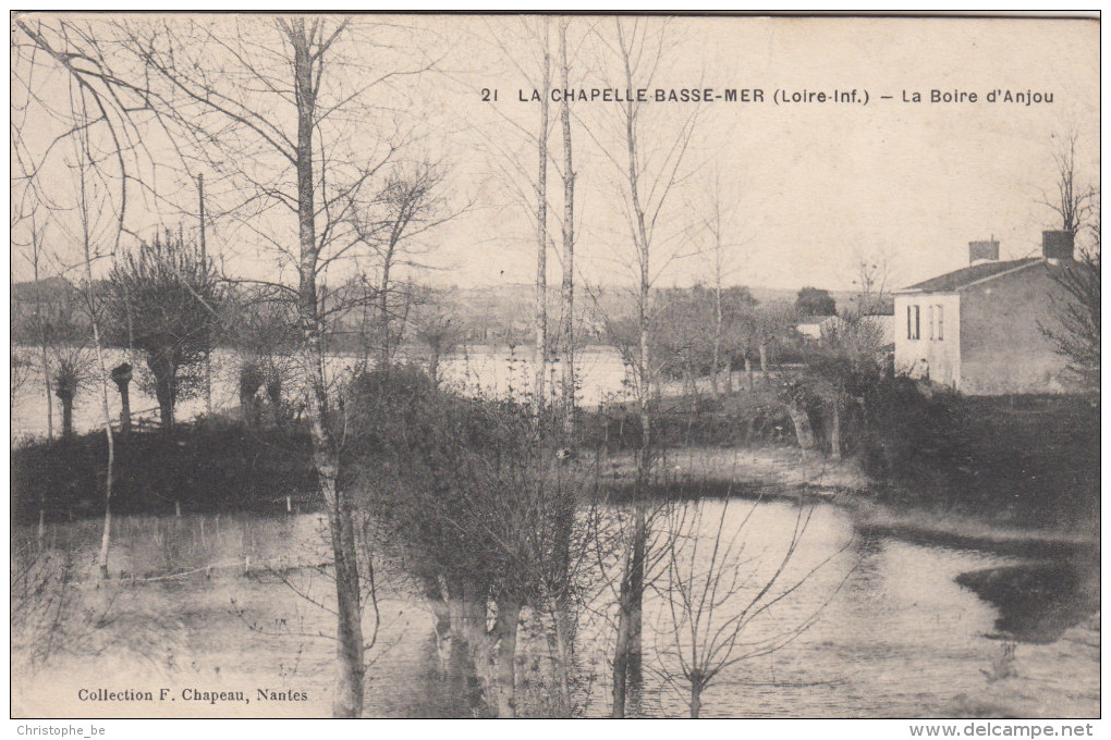 CPA La Chapelle Basse Mer, La Boire D'Anjou (pk17017) - La Chapelle Basse-Mer