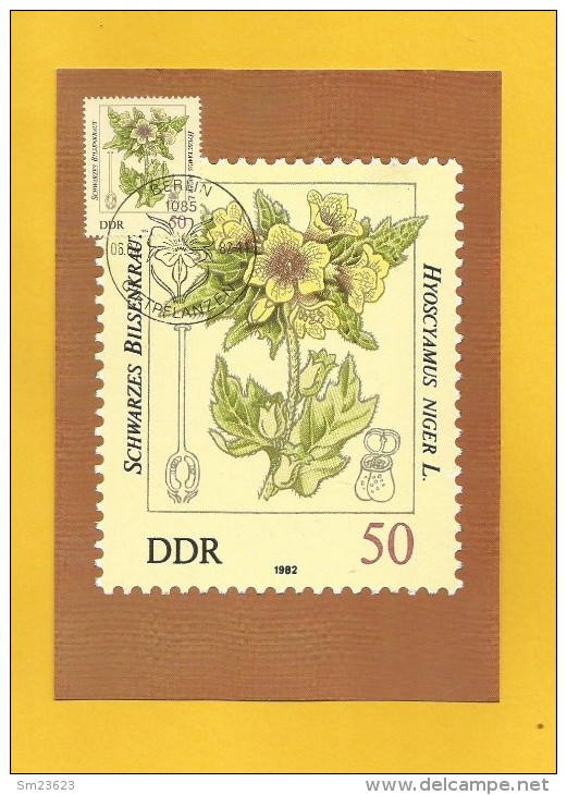 DDR 1982  Mi.Nr. 2696 , Schwarzes Bilsenkraut - Giftpflanzen - Maximumkarte - 06.04.1982 - Plantes Toxiques