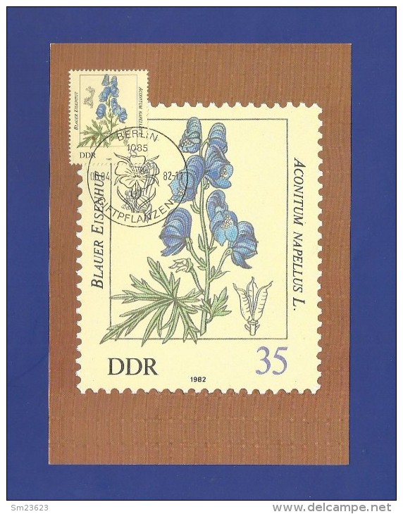 DDR 1982  Mi.Nr. 2695 , Blauer Eisenhut - Giftpflanzen - Maximumkarte - 06.04.1982 - Giftige Planten