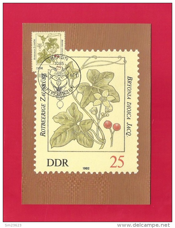 DDR 1982  Mi.Nr. 2694 , Rotbeerige Zaunrübe - Giftpflanzen - Maximumkarte - 06.04.1982 - Toxic Plants