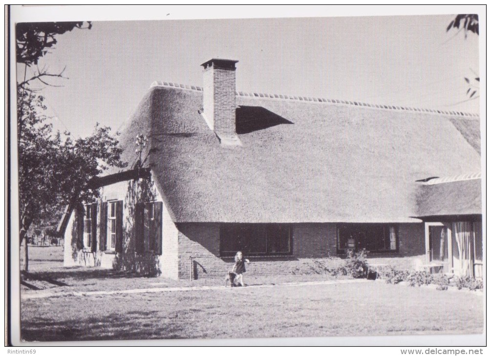 Epe - De Fitjamyri Hoeve Ijslandpony Centrum The Fitjamyri Iceland Pony Farm Ca. 1960 - Epe