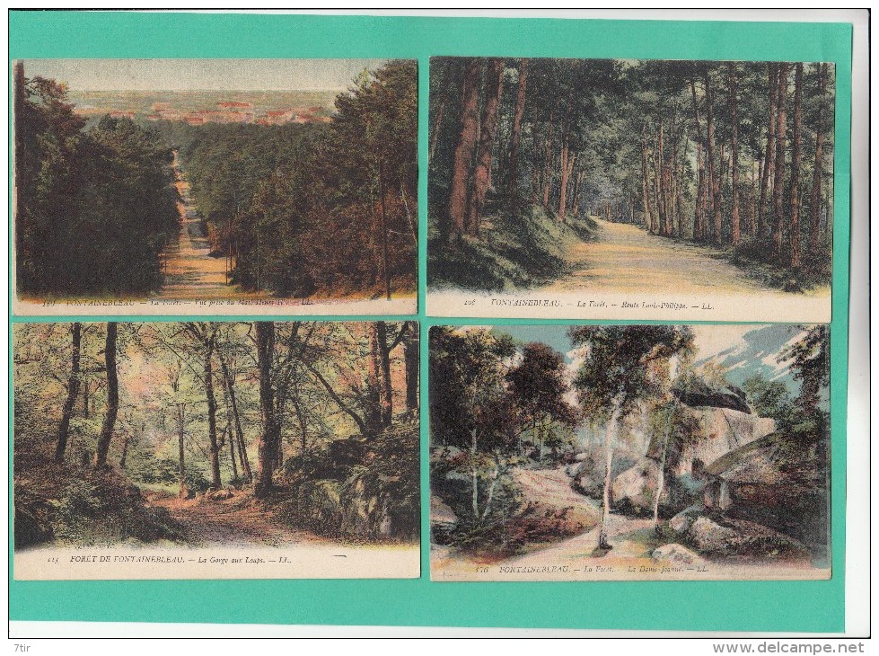 FONTAINEBLEAU FORET LOT DE 28 CARTES - Fontainebleau