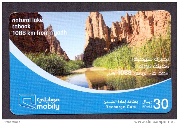 Saudi Arabia Telephone Card Used   The Value 30SR ( Fixed Price Or Best Offer ) - Arabie Saoudite