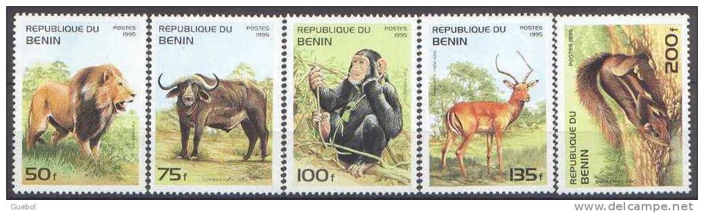 Benin Mammifères Singe N° 708 Z à AD ** Nature - Faune Africaine - Animaux / Lion Etc... 5 Valeurs  - - Monkeys