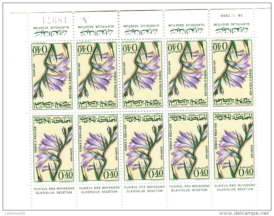 Timbre Maroc - Feuillet, Bloc De 10 Timbres Neufs (tête Bêche) - Glaïeul (fleurs) - YT N° 481 - Morocco (1956-...)