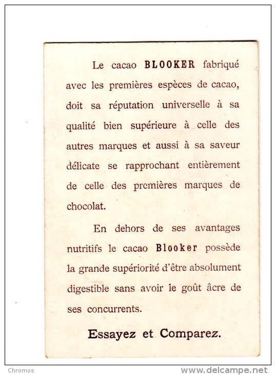 Chromo Pour Blooker Cacao, Amsterdam, Holland, Hollande, Femme - Other & Unclassified