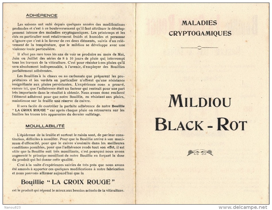 DOUBLE BUVARD Bouillie LA CROIX ROUGE BARLAM BAC & DURAN TOULOUSE Maladies CRYPTOGAMIQUES MILDIOU BLACK ROT - Drogerie & Apotheke