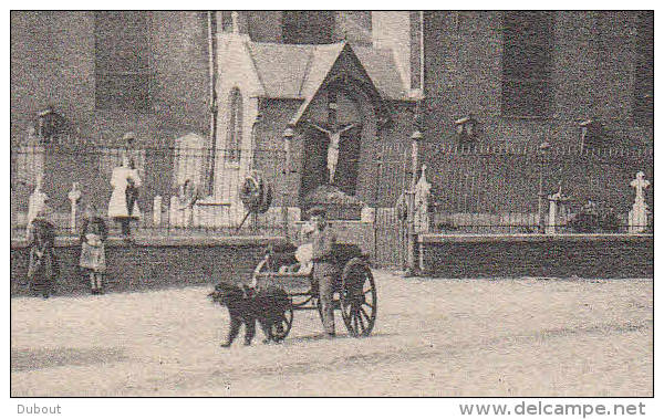 PETEGEM Bij DEINZE De Kerk  ( Met Hondenkar !!)  (Z49) - Deinze