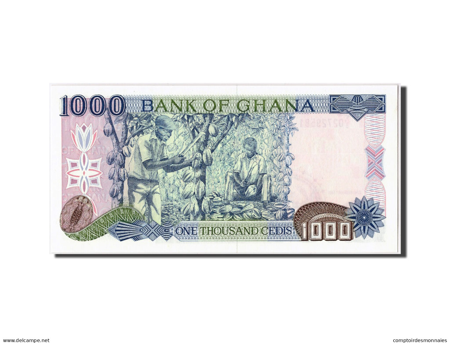 Billet, Ghana, 1000 Cedis, 1991, 1991-02-22, NEUF - Ghana