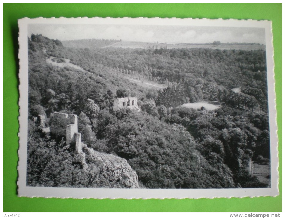 Parc Des Ruines De Poilvache, Panorama  (U) - Yvoir