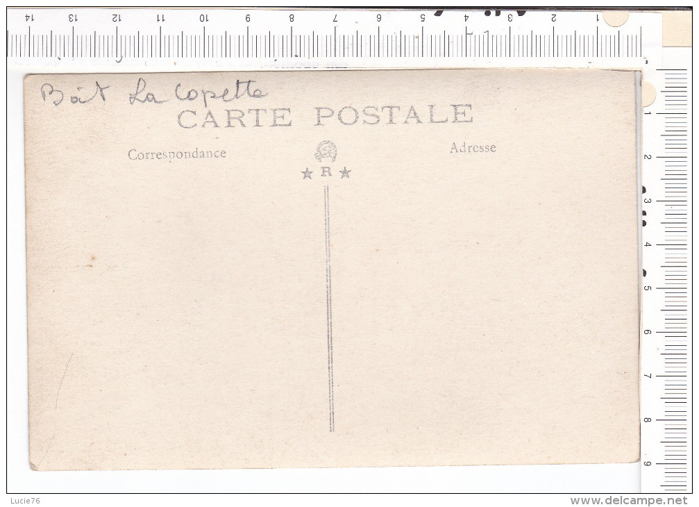 A IDENTIFIER  -  Carte Photo -   Hors Bord   -   Bâteau   " LA COPETTE "   -     Voiliers En Fond - Altri & Non Classificati