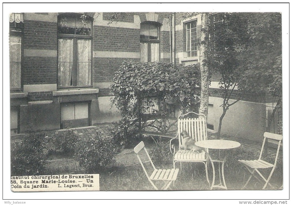 CPA - BRUXELLES - BRUSSEL - Institut Chirurgical - Square Marie Louise - Un Coin Du Jardin   // - Gezondheid, Ziekenhuizen