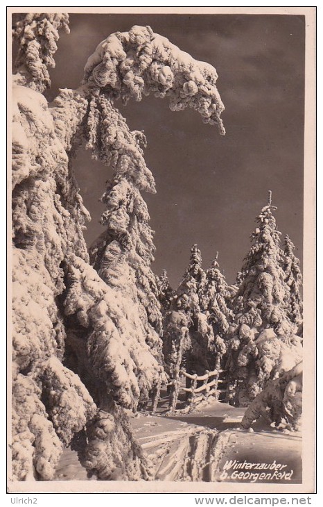 AK Winterzauber Bei Georgenfeld - 1930 (14344) - Altenberg