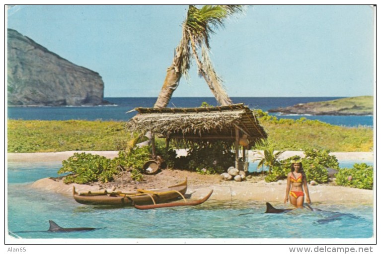 Oahu Hawaii, Makapu'u Point Sea Life Park Performance Woman Swims With Porpoises, C1960s Vintage Postcard - Oahu