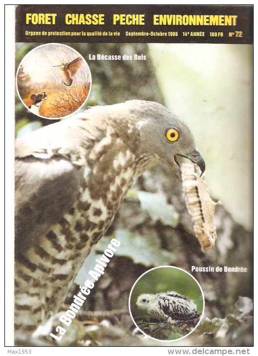 FORET-CHASSE-PECHE-ENVIRONNEMENT -  Septembre-Octobre 1986 - N°72 - Jagen En Vissen