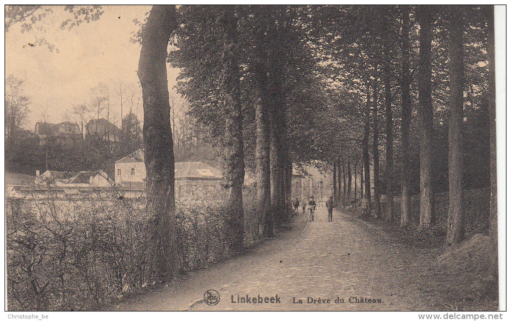 Linkebeek; La Drève Du Château (pk17316) - Linkebeek