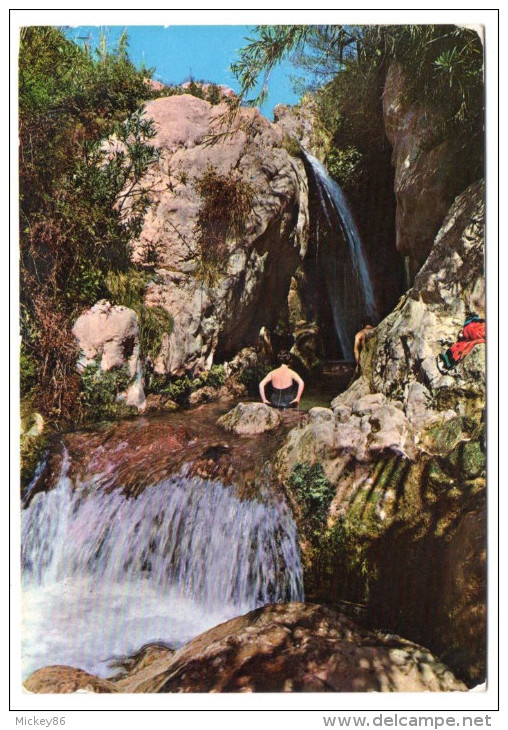 Espagne-près Alicante--CALLOSA D´EN SARIA--1973--El Algar (animée),cpsm 15 X 10 N° 19 éd Marchal--cachet CAMPELLO - Alicante