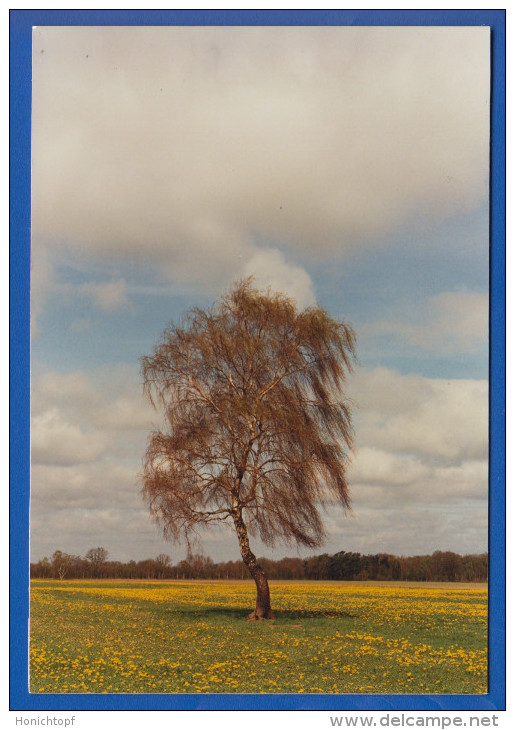 Deutschland; Worpswede; Landschaft - Worpswede