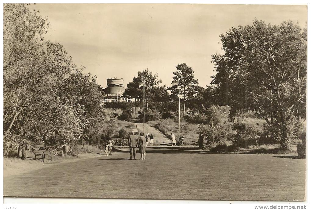 OLANDA - Het Kopie Van Bloemendal - Fiori In AMSTERDAM (foto) - Bloemendaal