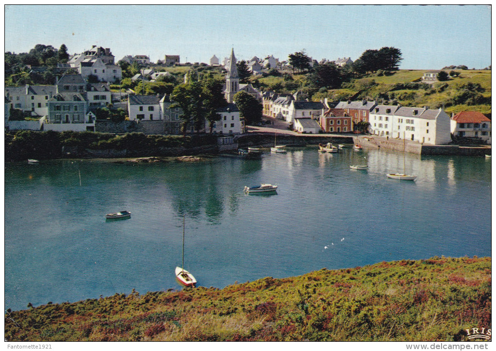 BELLE ILE EN MER   SAUZON VUE GENERALE (DIL198) - Belle Ile En Mer