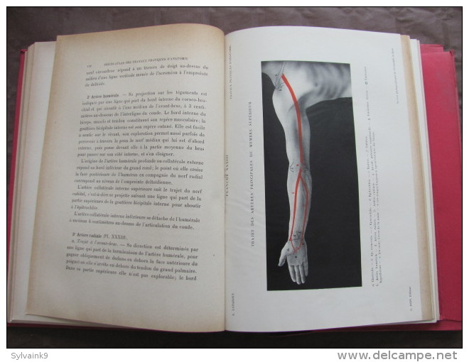 1923 PRECIS ATLAS DES TRAVAUX PRATIQUES D ANATOMIE DISSECTION DE SURFACE LATARJET MEMBRE PLANCHES CHROMOTYPOGRAPHIE - 1901-1940