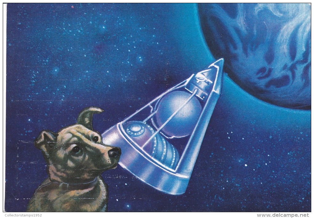 6006A  LAIKA FIRST DOG IN SPACE POSTCARD. - Spazio