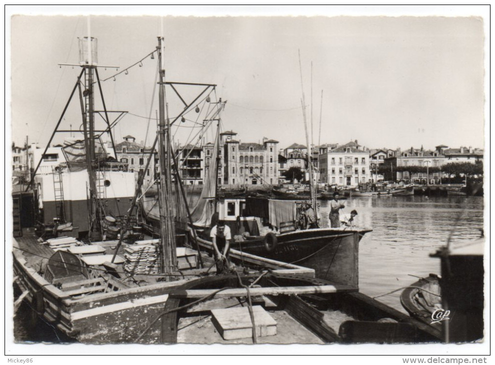 St JEAN DE LUZ--1966-Le Port Et Maison De L'Infante (animée,pêcheurs Sur Bateaux),cpsm 15 X 10 N° 1327 éd CAP - Saint Jean De Luz