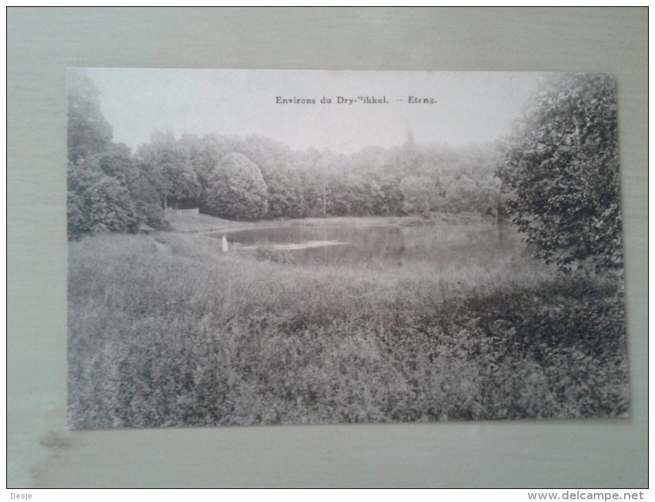 Environs Du Drypikkel Etang Meysse - Meise