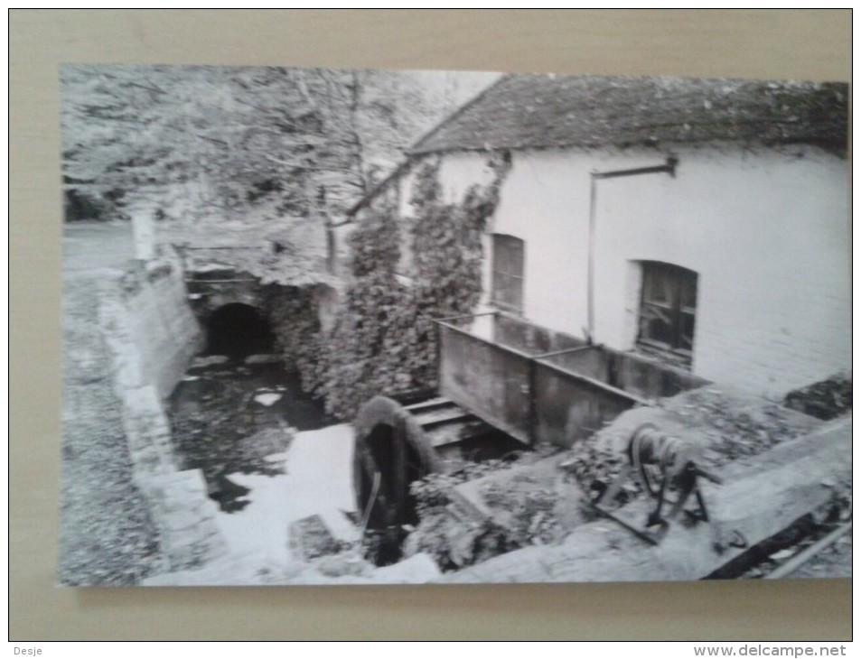 Meise Waelmolen(Meyssemolen) Schilderachtige Graanmolen Met Metalen Bovenslagrad Opname 28/10/1979 - Meise