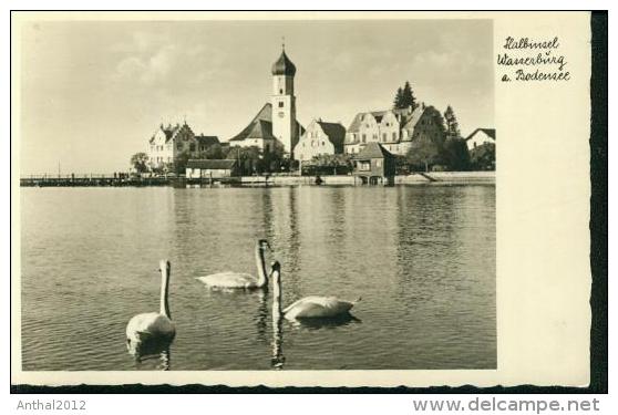 Wasserburg Am Bodensee Schwäne Wohnhäuser Kirche Sw - Wasserburg A. Bodensee