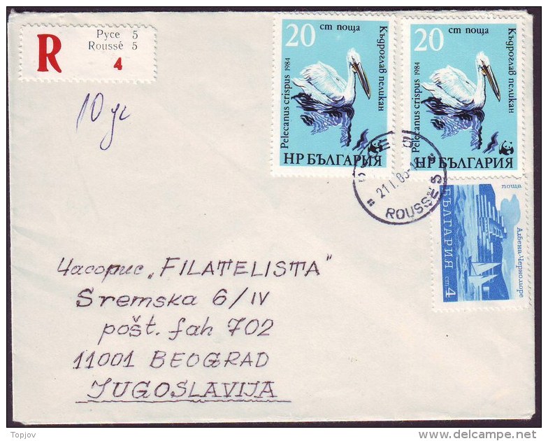 BULGARIA - BULGARIE   - BIRDS - PELICANS - 1983 - Pélicans