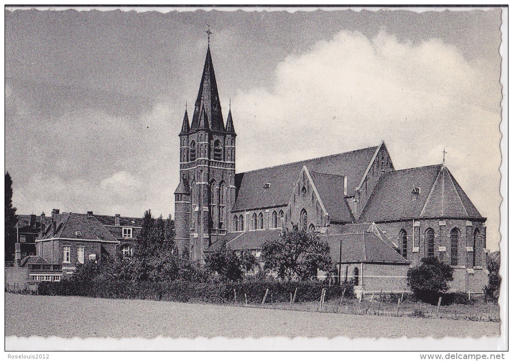 LE BIZET / PLOEGSTEERT : église St-André - Comines-Warneton - Komen-Waasten