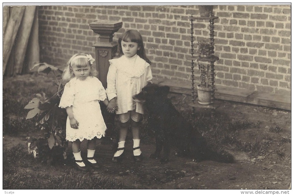 Tielt.  -   Photo Modest  Van Ovenacker  -  Thielt;   Kinderen Met Groenendaaler  - 1900 - Tielt