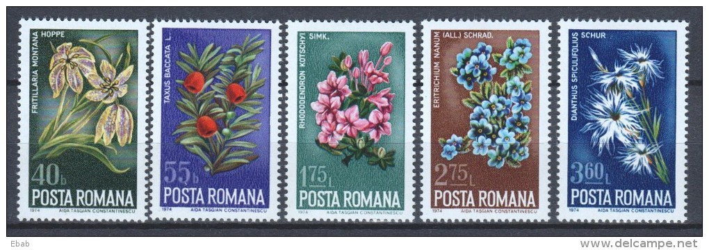 Romania 1974 Mi 3225-3229 MNH FLOWERS - Ongebruikt